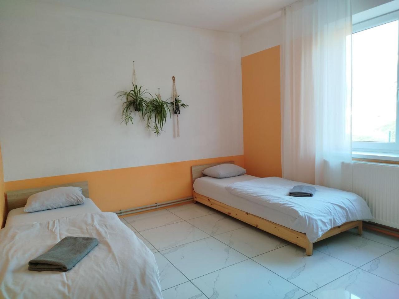 Appartement Za Ohradami à Závažná Poruba Extérieur photo